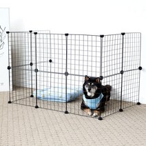 펫토리아 한칸뚝딱 강아지 울타리 FHALW0014 14p, 블랙