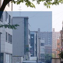 포커스더블유 자외선차단 99% 국산 썬팅지 17종, DBU35