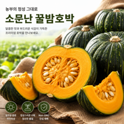 [하루30박스]꿀이뚝뚝 제주밤호박 보우짱특품