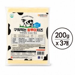 구워먹는 할루미 치즈