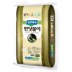 농협 경기미 반딧불이 대안미, 특등급, 10kg, 1개
