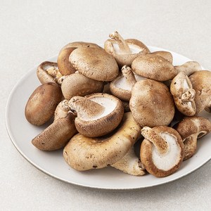 [로켓프레시] 못생겨도 맛있는 표고버섯