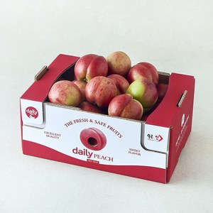 [로켓프레시] GAP 인증 경산 옹골찬 신비복숭아