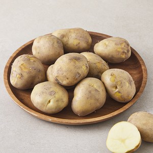 못생겨도 맛있는 국내산 감자(햇)