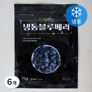 블루베리 (냉동)