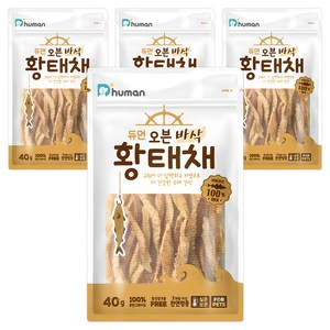 듀먼 강아지 오븐 바삭 저염 수제간식