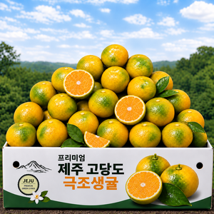 [단독초특가] 제주 당도좋은 첫 극조생귤 그린귤