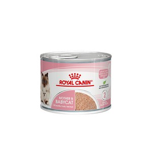 로얄캐닌 마더 앤 베이비캣 캔 습식사료