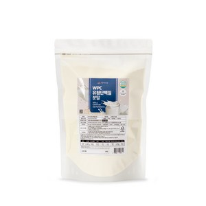 WPC 유청단백질 분말 500g, 2개, 500g