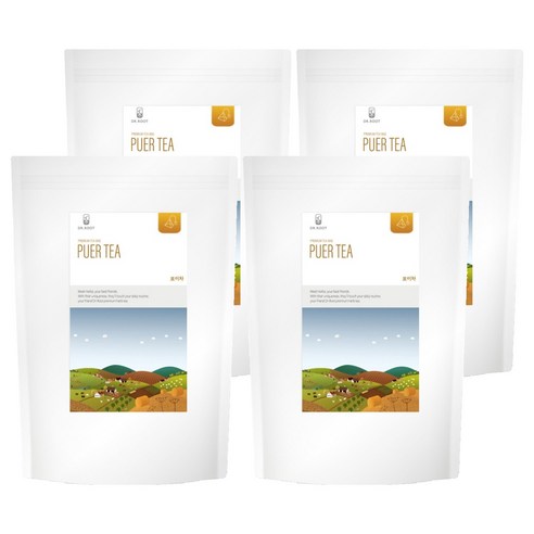 닥터루트 보이차 삼각티백, 1.2g, 100개입, 4개