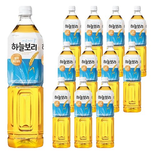 웅진 하늘보리