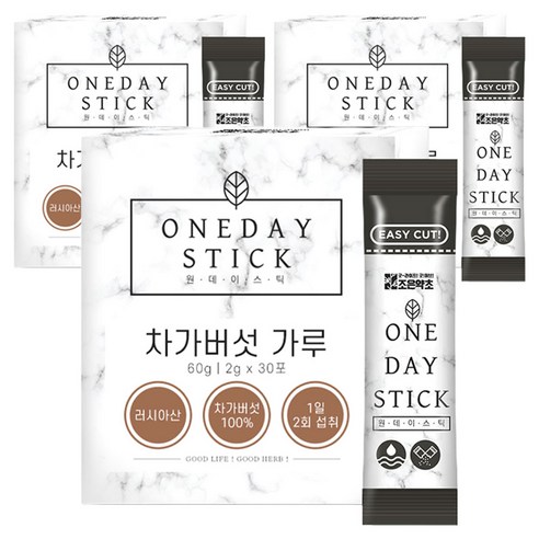 굿허브 원데이스틱 차가버섯 가루, 90개, 2g