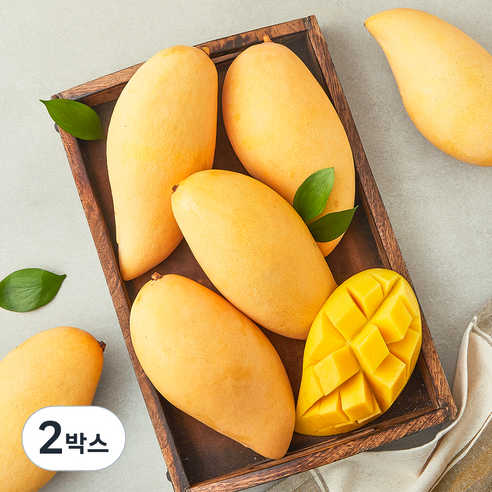 [로켓프레시] 이웃마을 태국산 남독마이 망고