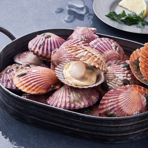 [로켓프레시] 어부심 고흥 통통하게 살이오른 제철 가리비 (냉장)