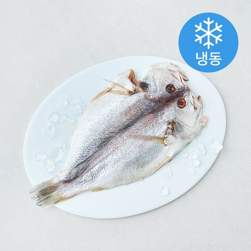 [로켓프레시] 제주 자반 백조기 (냉동)