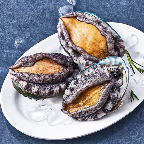 [로켓프레시] 아라보감 완도 산지직송 전복 (냉장)