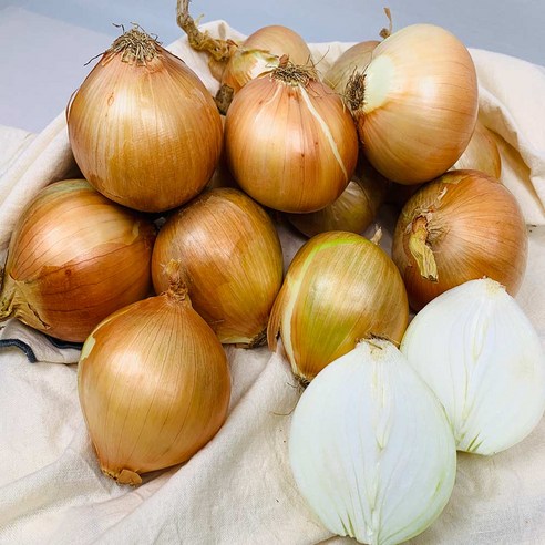 농부곳간 국내산 햇 무안 양파 속이 단단한 양파, 1개, 양파대2kg