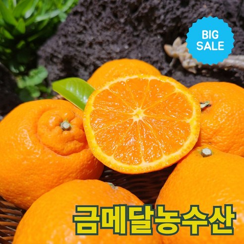 금메달농수산 15브릭스 프리미엄 제주 카라향, 1개, 3kg (중대과)