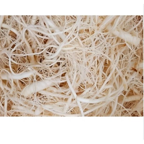 금산인삼 미삼 세척인삼 뿌리삼 파삼 미삼잔뿌리 1kg