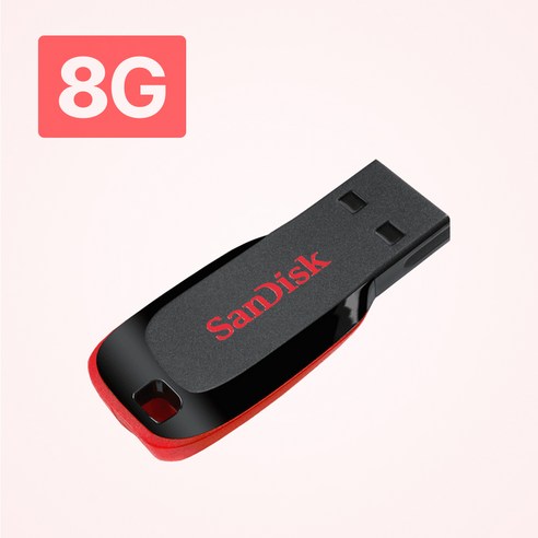 샌디스크 블레이드 USB 플래시 드라이브 SDCZ50