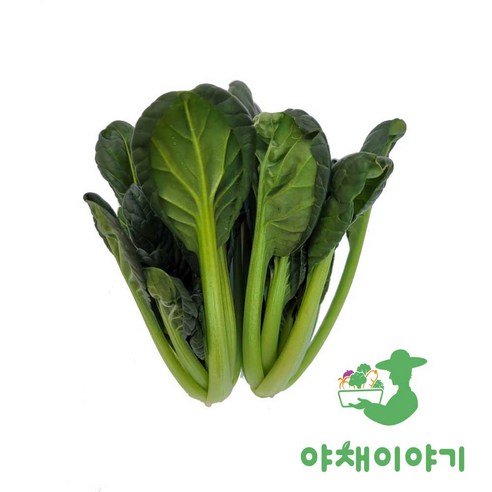 야채이야기 싱싱한 비타민 2kg (1.8kg - 2kg) 다채, 1박스, 2kg