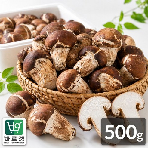 전라남도 나주 참바른 참송이 버섯 500g 바르겟, 1개, 500g