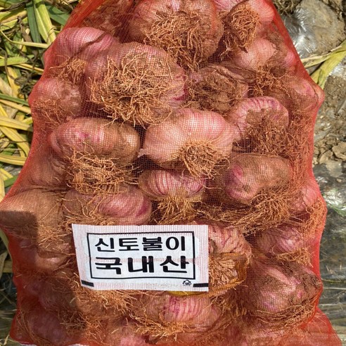 (정품) 노씨고집 고흥 햇 마늘, 1개, 1kg (중대 혼합과)