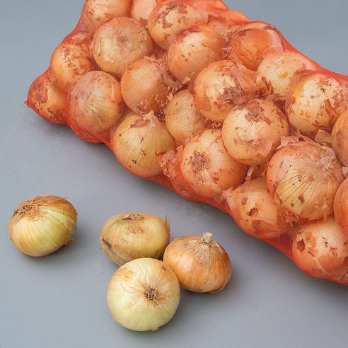 [품질보장]세상모든농부 2025 햇양파 신선한 국내산 양파, 1개, 5kg(중)