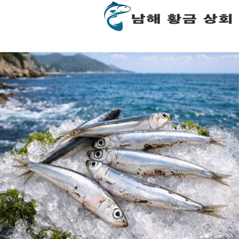 남해 생멸치 조림용 26년 햇멸치 손질 급속 냉동 멸치 500g+500g, 2개, 500g+500g