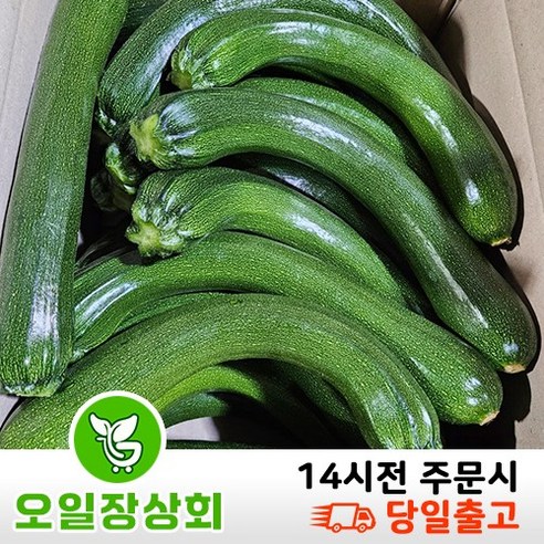 < 오일장상회 > 국내산 쥬키니호박 주키니호박 못난이호박 상등급 10kg