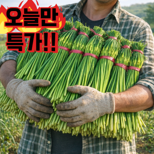 [최상급 특품] 국산 햇 마늘쫑 특가 제철수확 산지발송, 1박스, 2kg(특품)