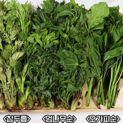청송 백화점용 참두릅 개두릅 엄나무순 오가피순 400g 1kg /