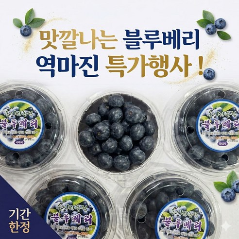 노마진 특가 수입 블루베리 고당도 14~16mm 중대과 대용량 당일출고, 1개, 4팩