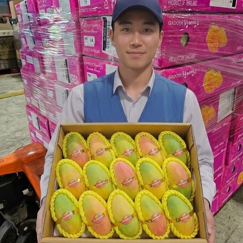 [상위1%새벽경매] 항공수입 초고당도 마하차녹 무지개망고