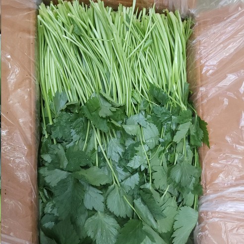 의령농산 건강채소 국내산 간편손질야채 참나물 1kg/2kg/4kg