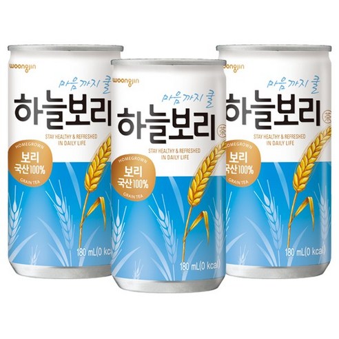 웅진 하늘보리