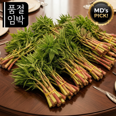 강원도 눈개승마 삼나물 신선한 제철 나물 산지직송 건강나물 반찬용 산나물