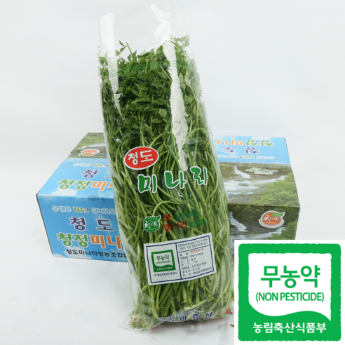 [품질보장] 무농약 청도 미나리 특품