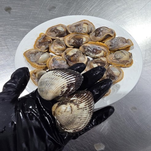 (당일조업) 청담농수산 국산 벌교 대왕 새꼬막, 1개, 1kg (k당 15-20미)