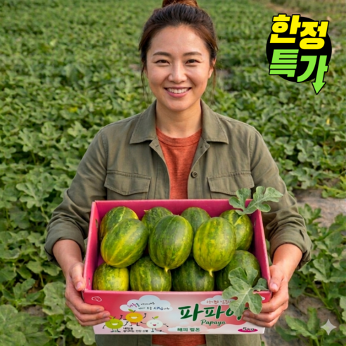 [하루 100개 한정판매] 국내산 산지직송 고당도 파파야메론 멜론, 1박스, 2kg