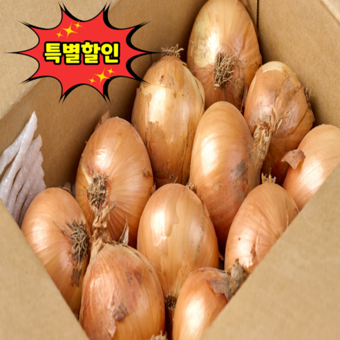 [하루100박스만] 특별한인 산지직송 국내산 햇양파