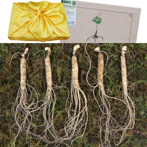 아리아리산삼 6년근 10뿌리 15뿌리 20뿌리 특상품7뿌리 산삼 산양삼 장뇌삼 산양산삼 설 추석 선물세트