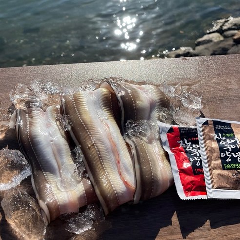 통영 자연산 손질 바다 장어 소스2종 포함, 1개, 특대 2kg(4-6미)