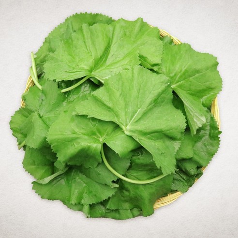 국내산 곰취 봄나물 산나물 산지직송, 1개, 1kg