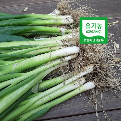 엔젤농장 유기농 대파 흙대파 생대파