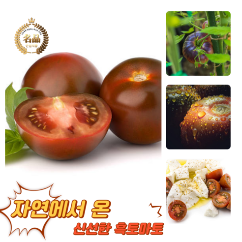 [굿피플] 흑토마토 쿠마토 토마토 방울토마토 흙토마토 스테비아흑토마토 흑방울토마토, 1박스, 흑토마토 2kg