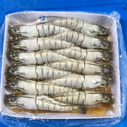 모조나인 블랙타이거  버터플라이새우10미