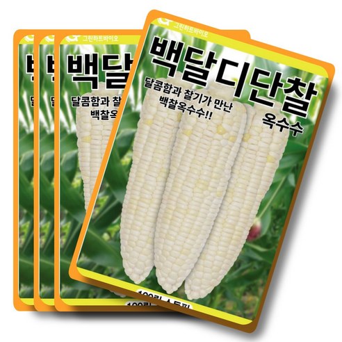 백달디단찰옥수수 100립 달콤함과 찰기가 만난 백찰옥수수 그린하트바이오, 4개