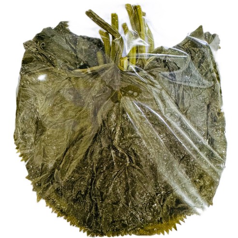 가리봉상회 연변절임 곰취1kg