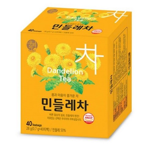 우리차 민들레차